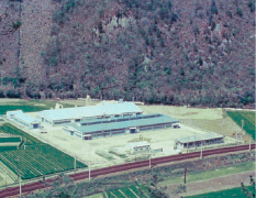 1969 年　第2 工場建